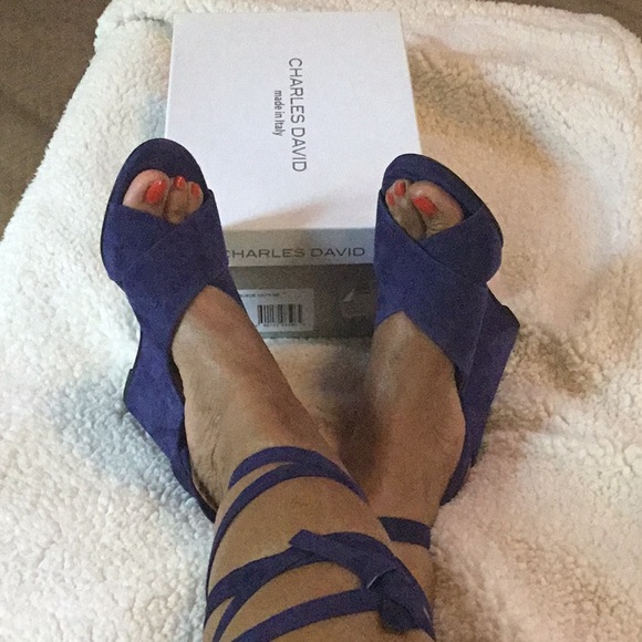 Charles David Blue Sandal - Picture 4 of 6